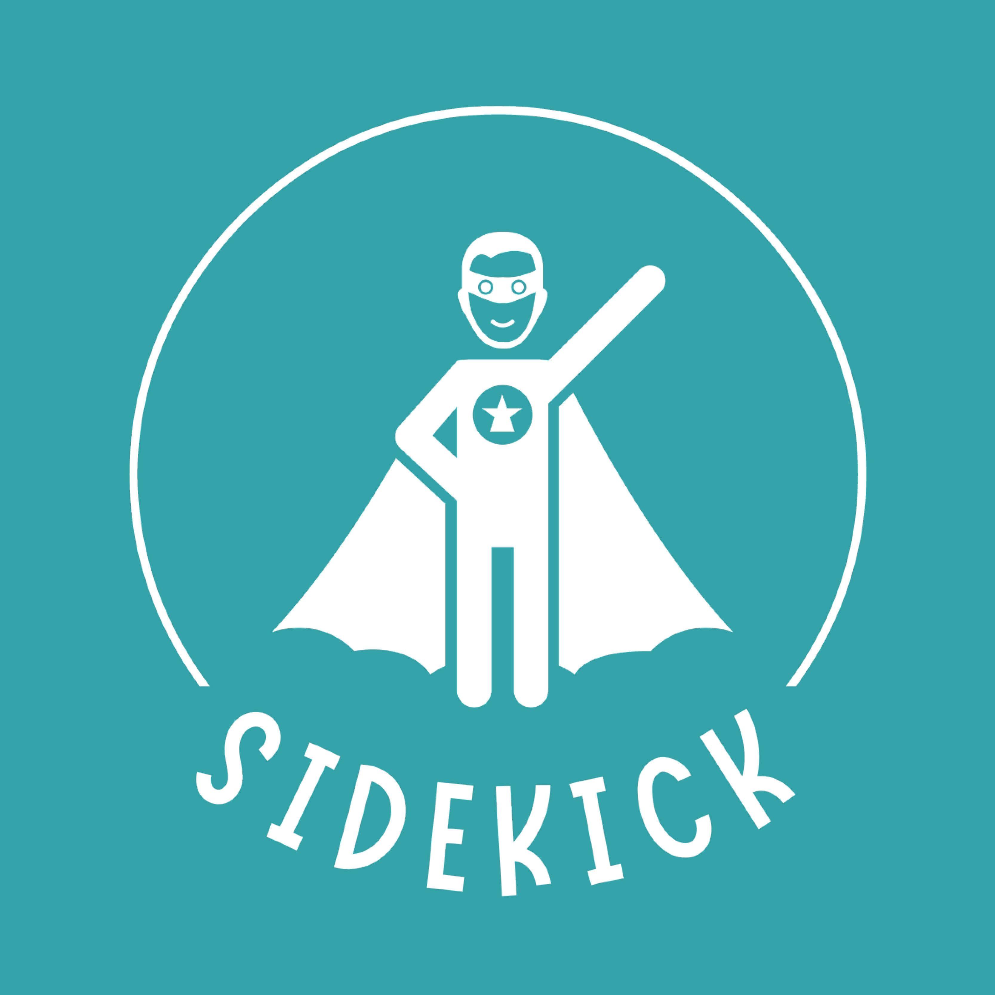 Sidekick graphic card.